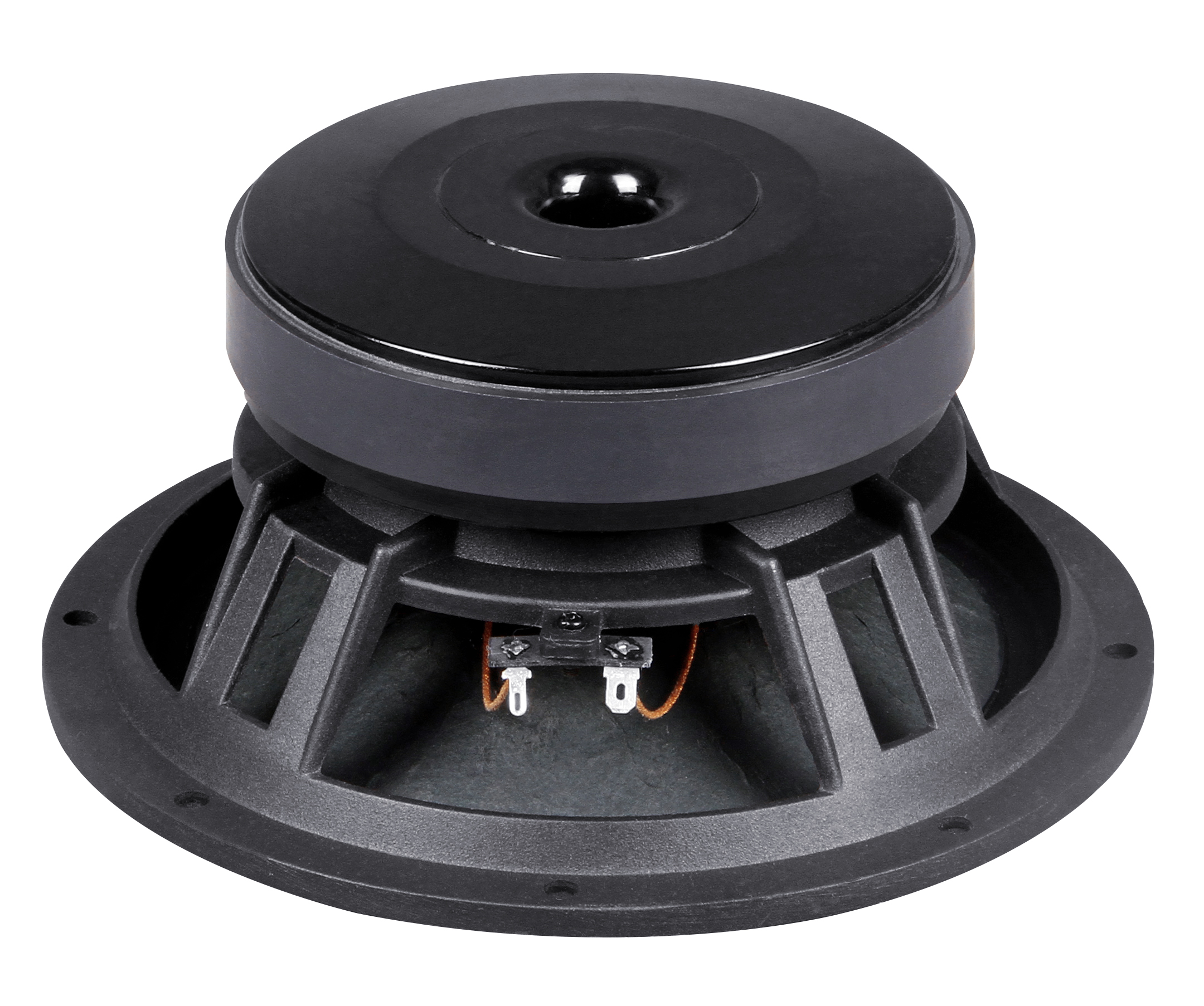 Woofer de ferrite PL1025 de 10 polegadas